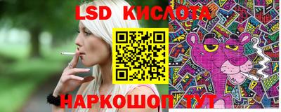 ГАЛЛЮЦИНОГЕННЫЕ ГРИБЫ Шебекино