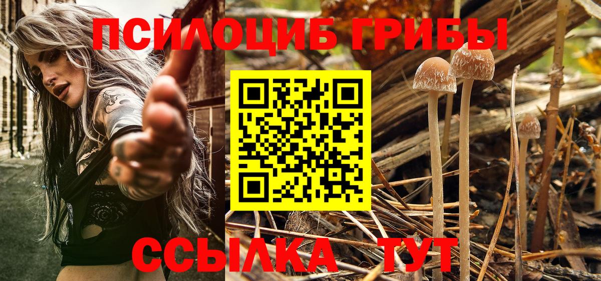 Галлюциногенные грибы MAGIC MUSHROOMS Майский